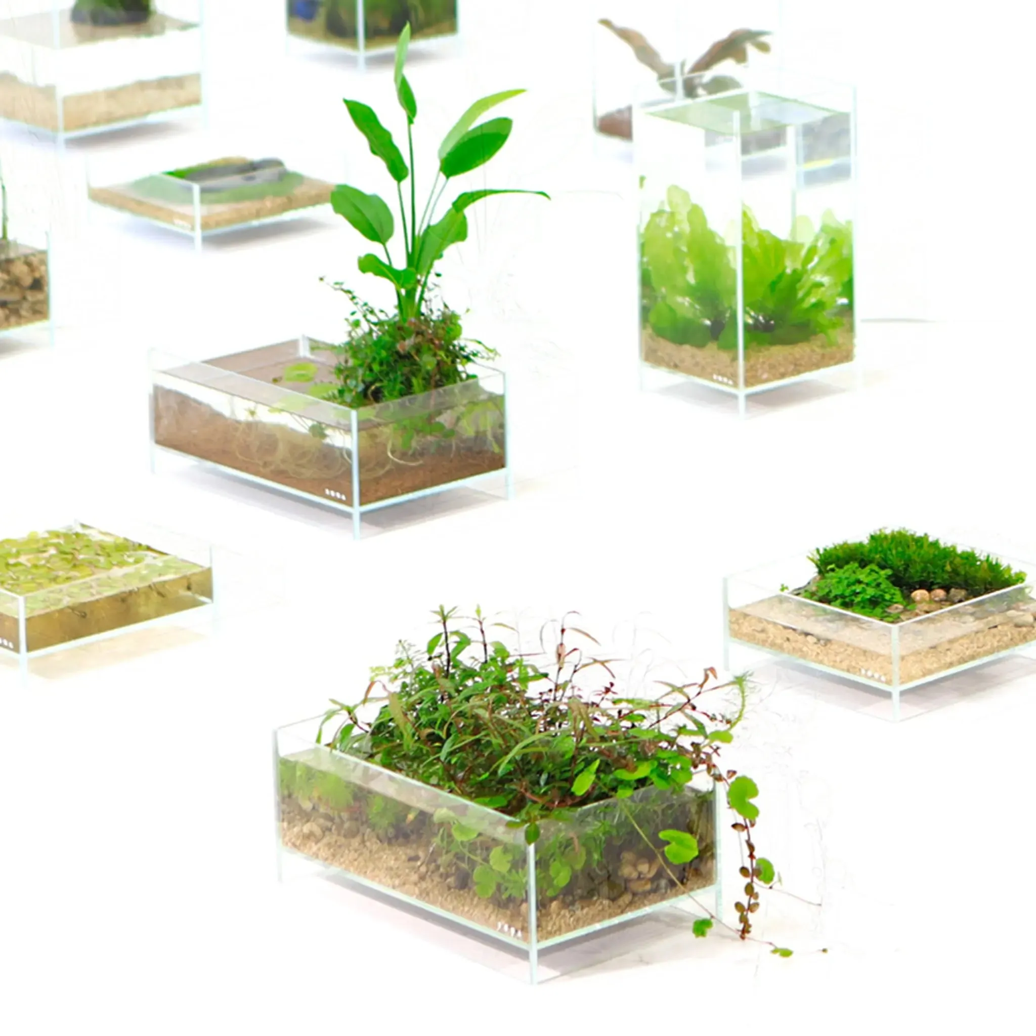 DOOA Neo Glass Air (20x20x20cm)