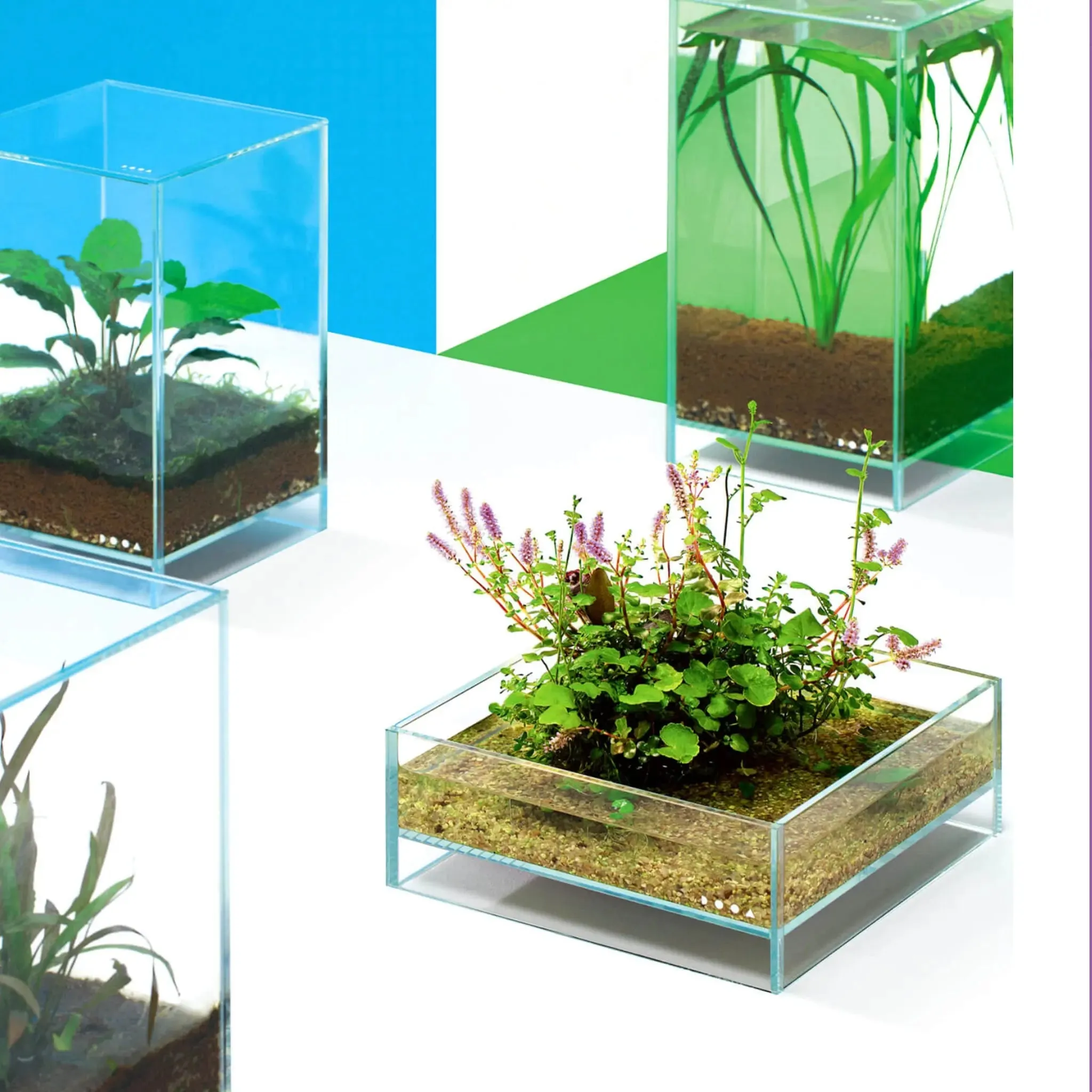 DOOA Neo Glass Air (20x20x20cm)