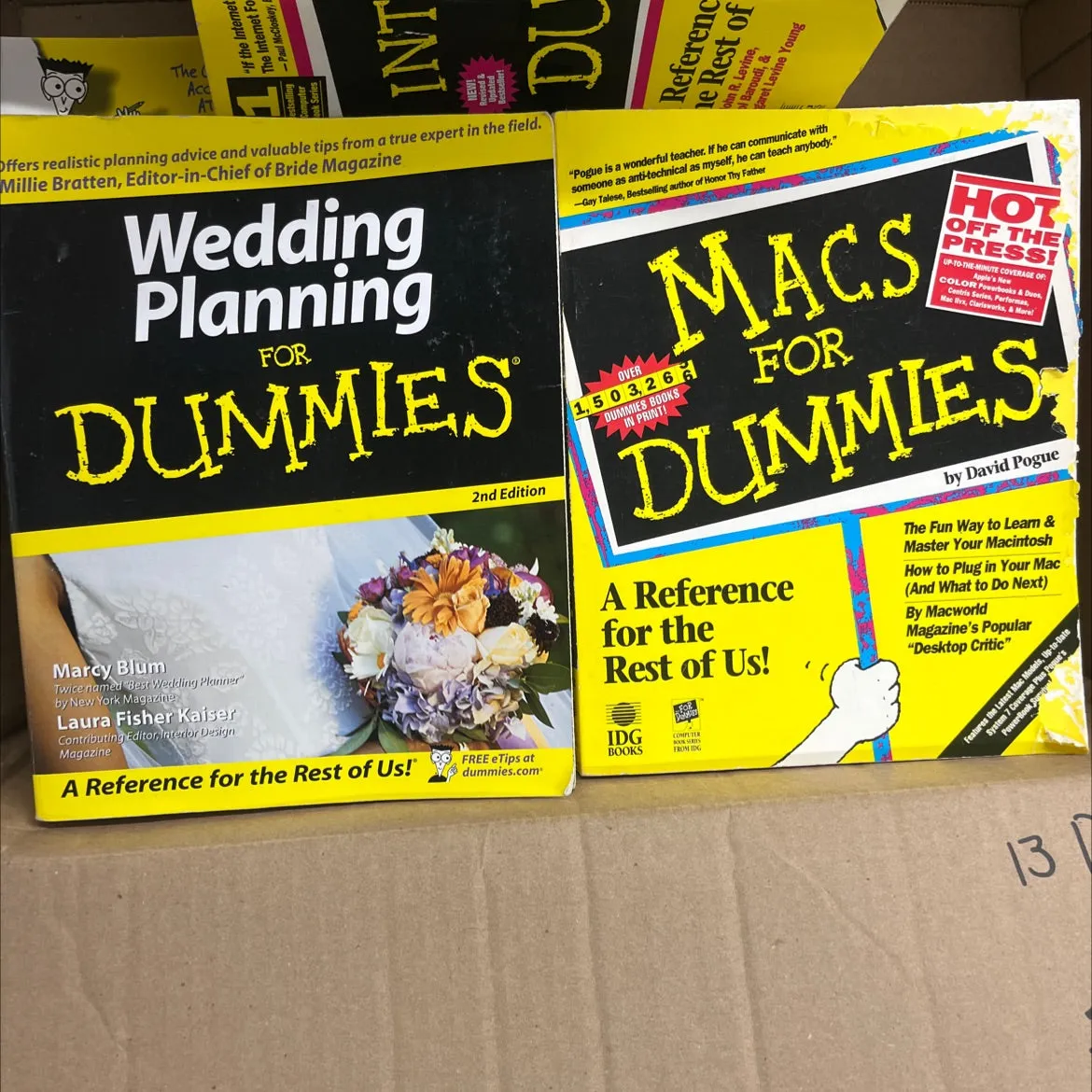 Dummy Books 13 books