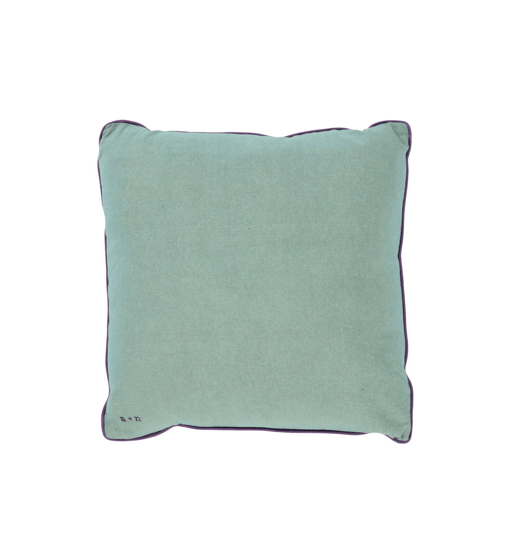 Embroidered Paisley Cushion