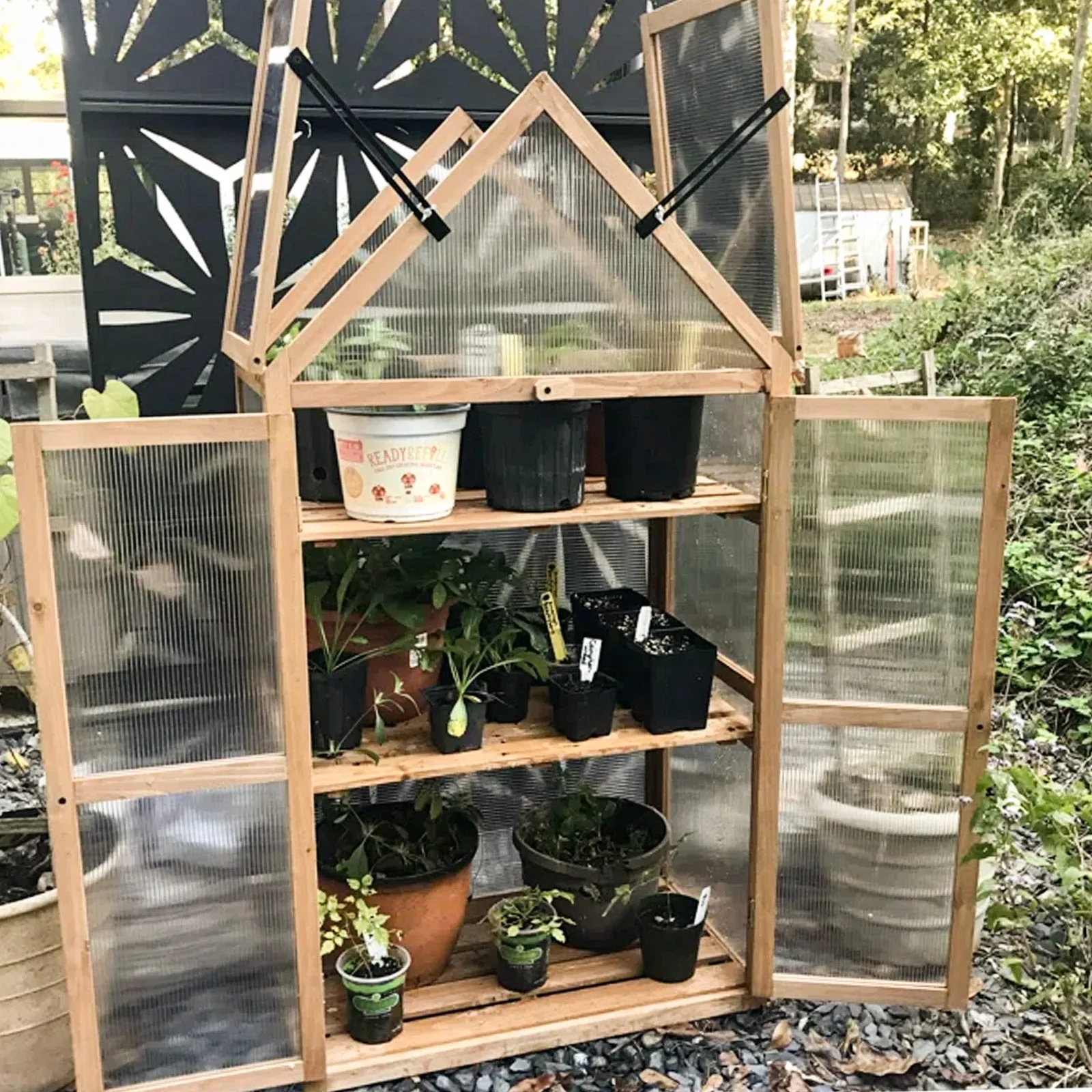 Garden Cold Frame Greenhouse with Adjustable Shelf, 27x16x52 in