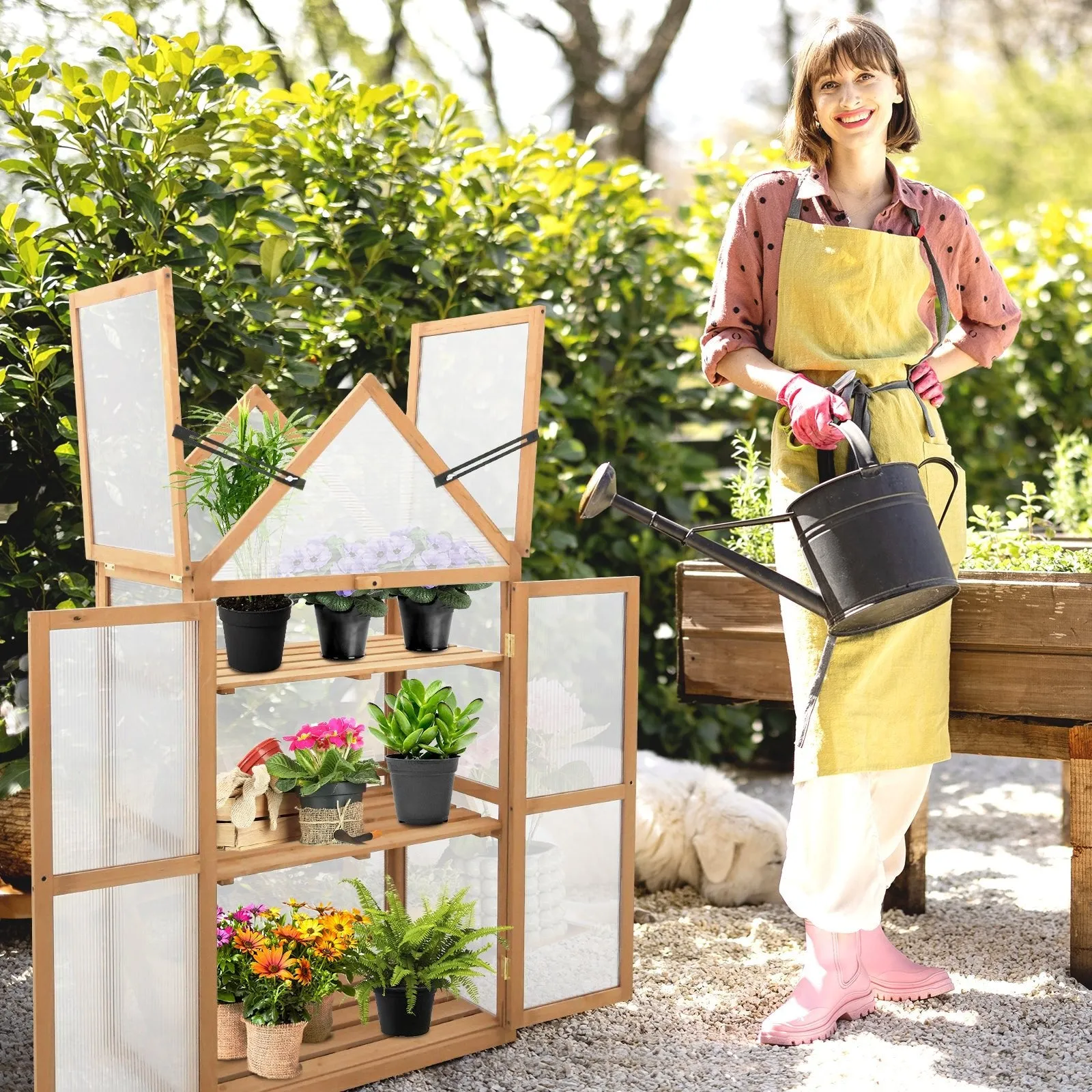 Garden Cold Frame Greenhouse with Adjustable Shelf, 27x16x52 in