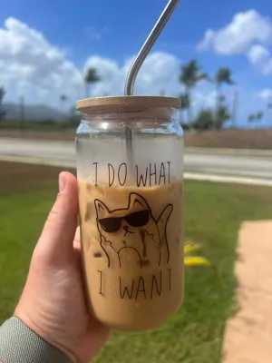 I DO WHAT I WANT Glass Can Cup