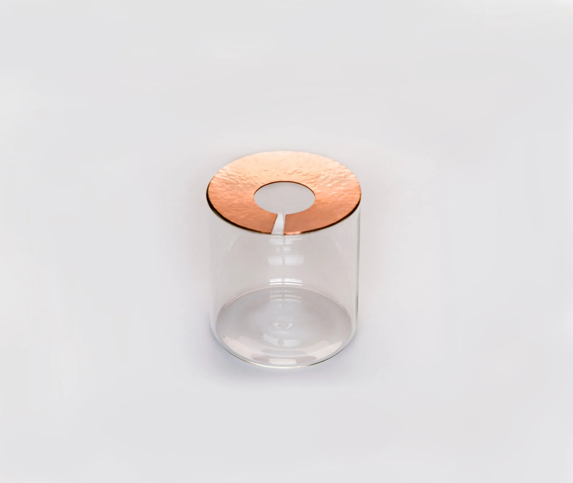 Lid Vision Glass Terrarium - Large