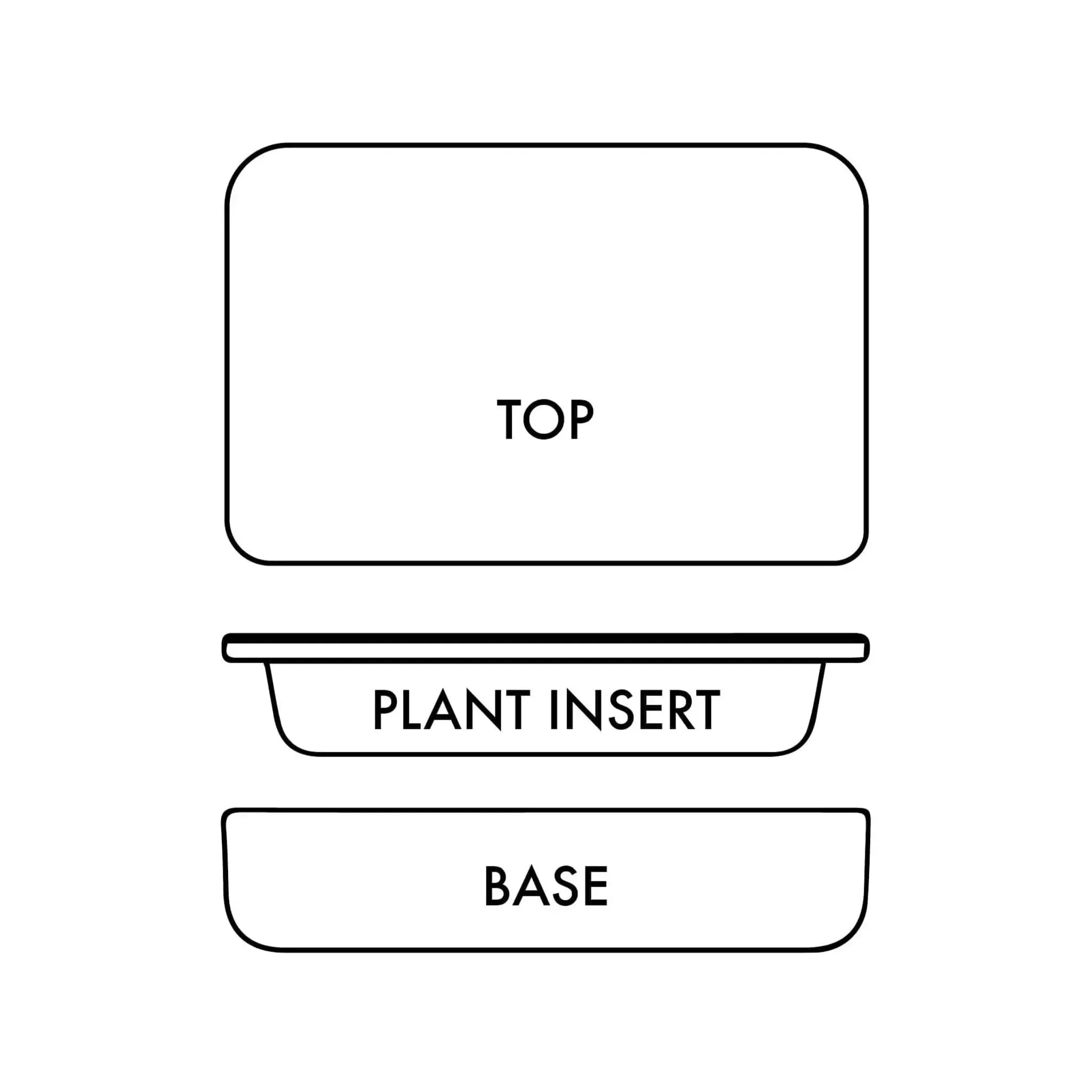 Sanctuary M Temperate Carrara Terrarium