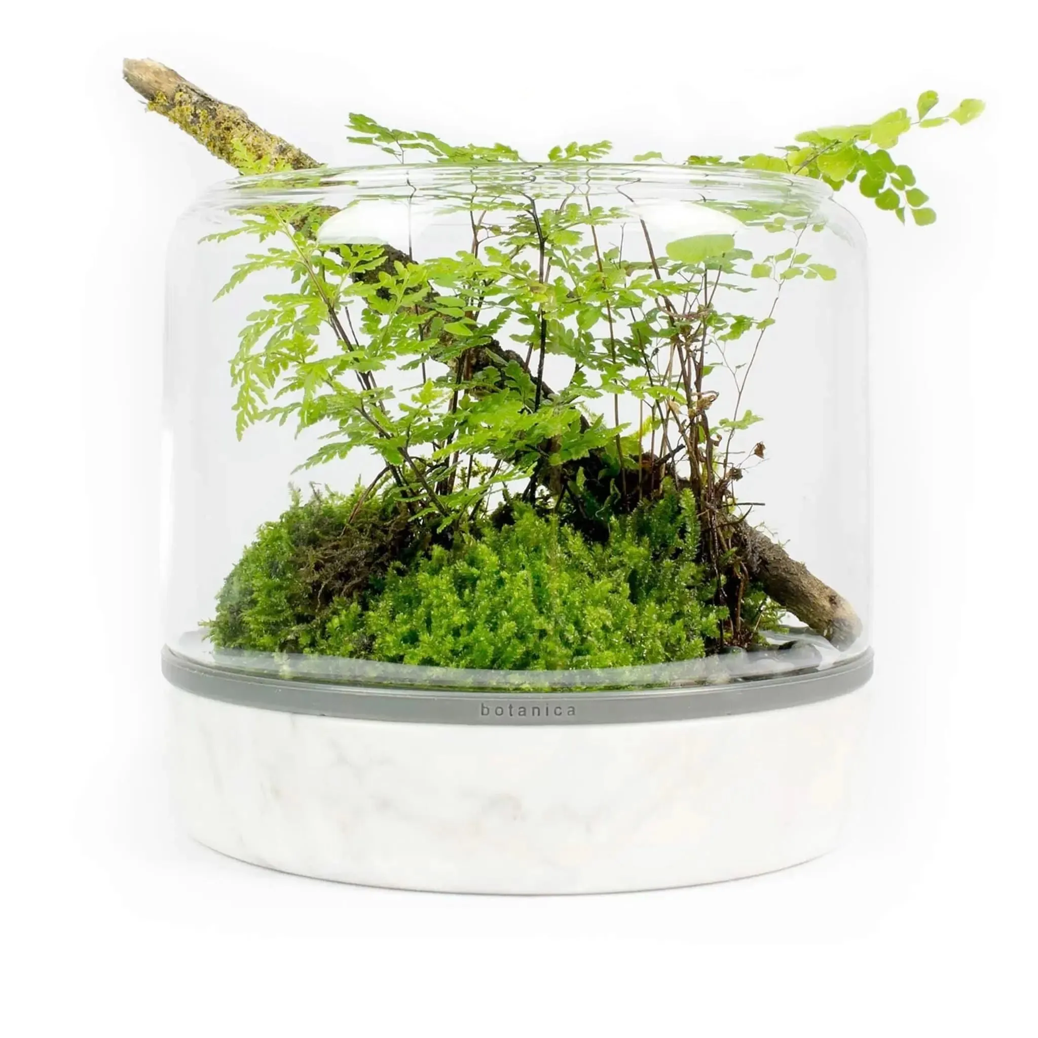 Sanctuary M Temperate Carrara Terrarium
