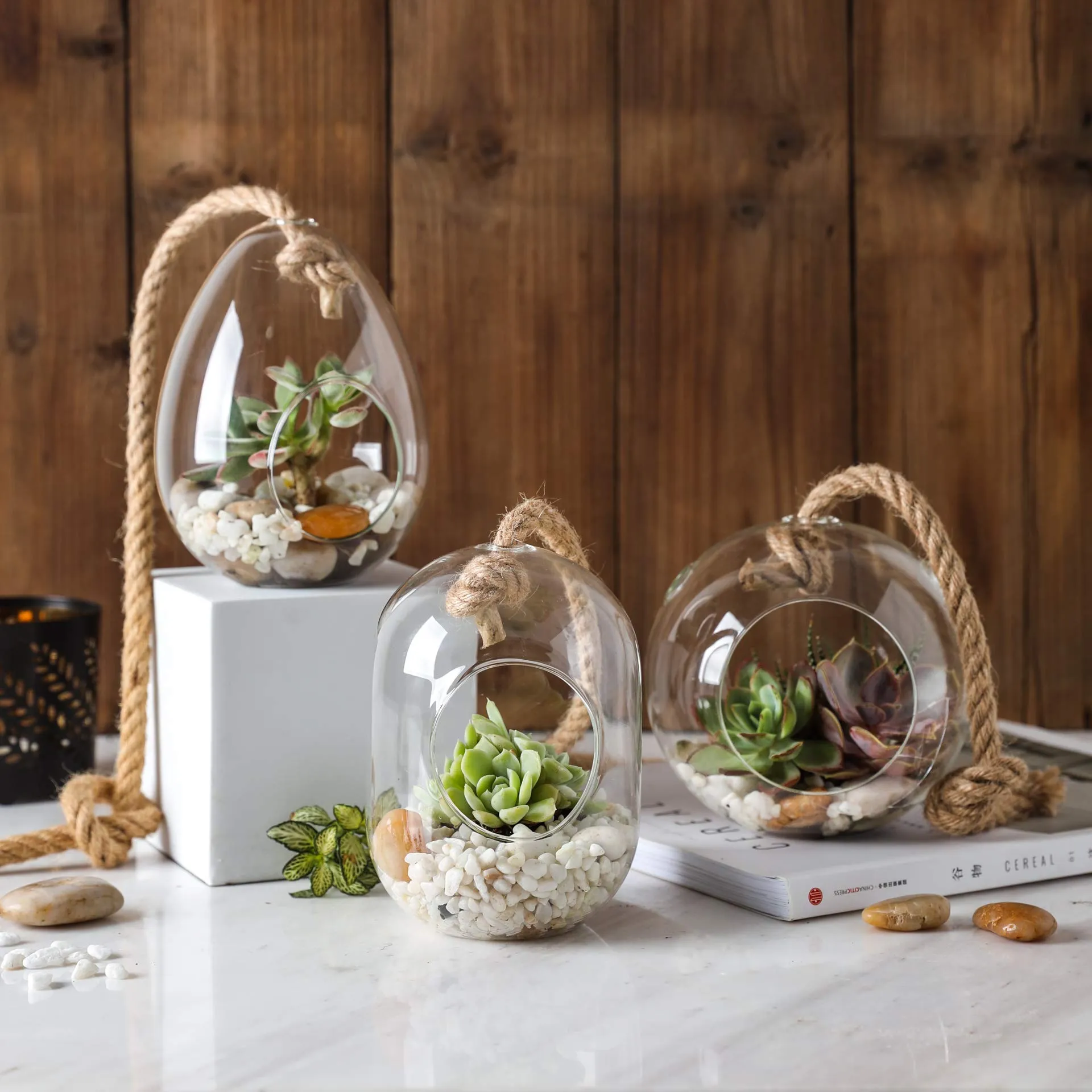 Set of 3 Large Glass Hanging Terrarium Container with 28" Rope for Succulent & Air