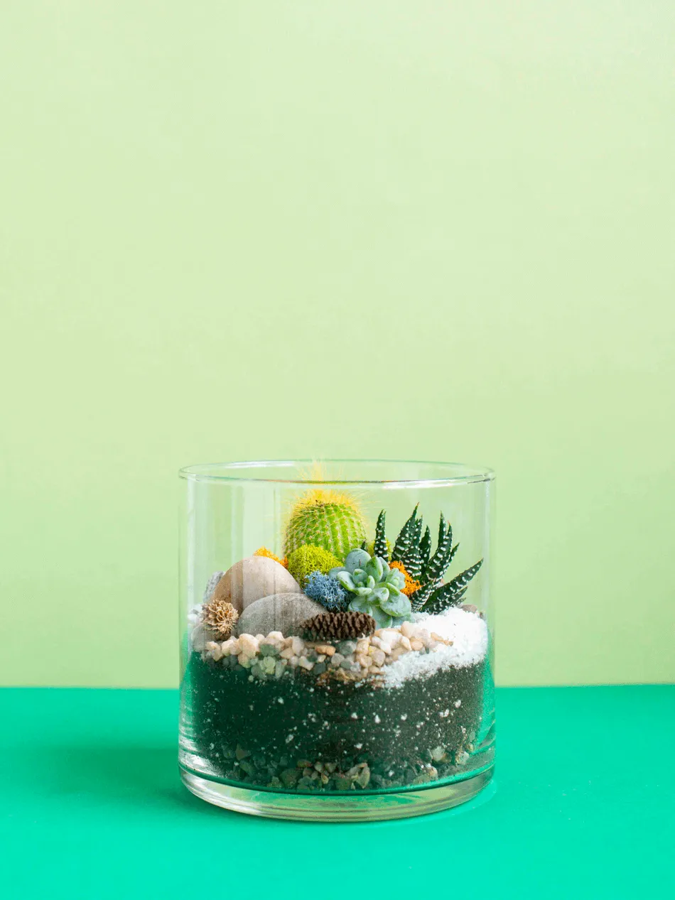 Small Cylinder Terrarium
