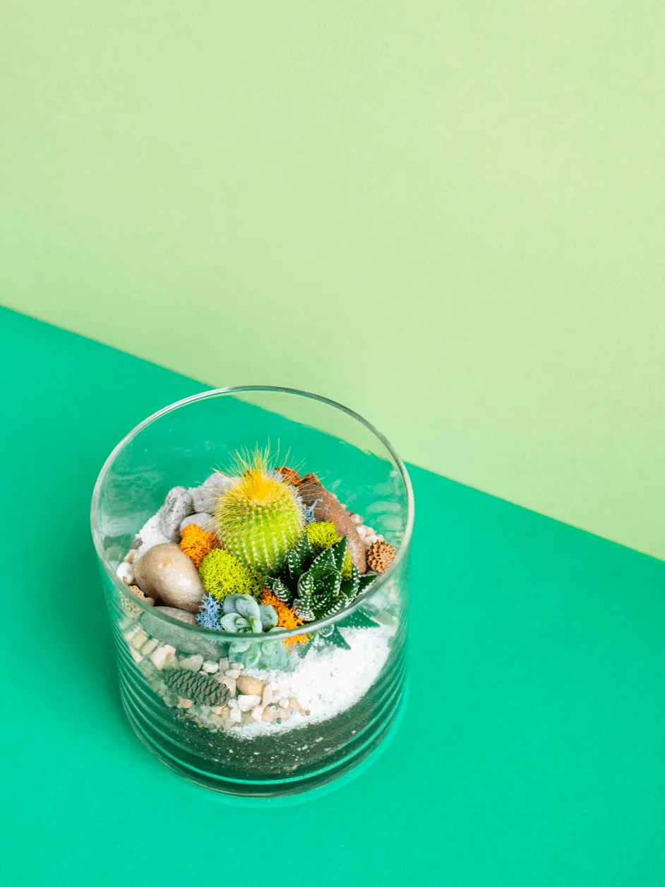 Small Cylinder Terrarium